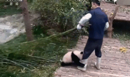 30歲左右的項(xiàng)目經(jīng)理，一定要有這5種能力！