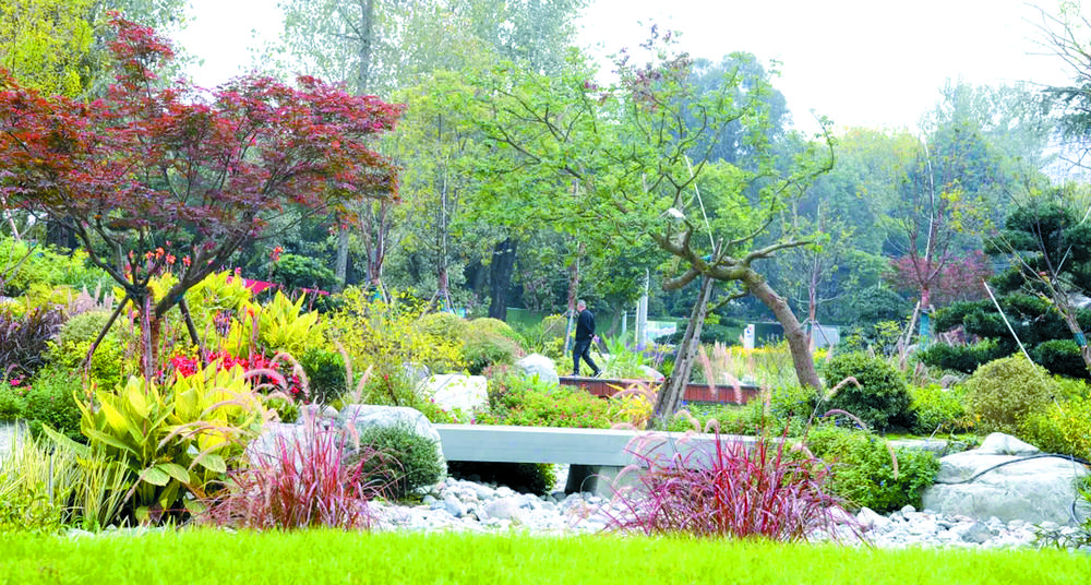 全國(guó)首批 成都入選城市更新試點(diǎn)城市